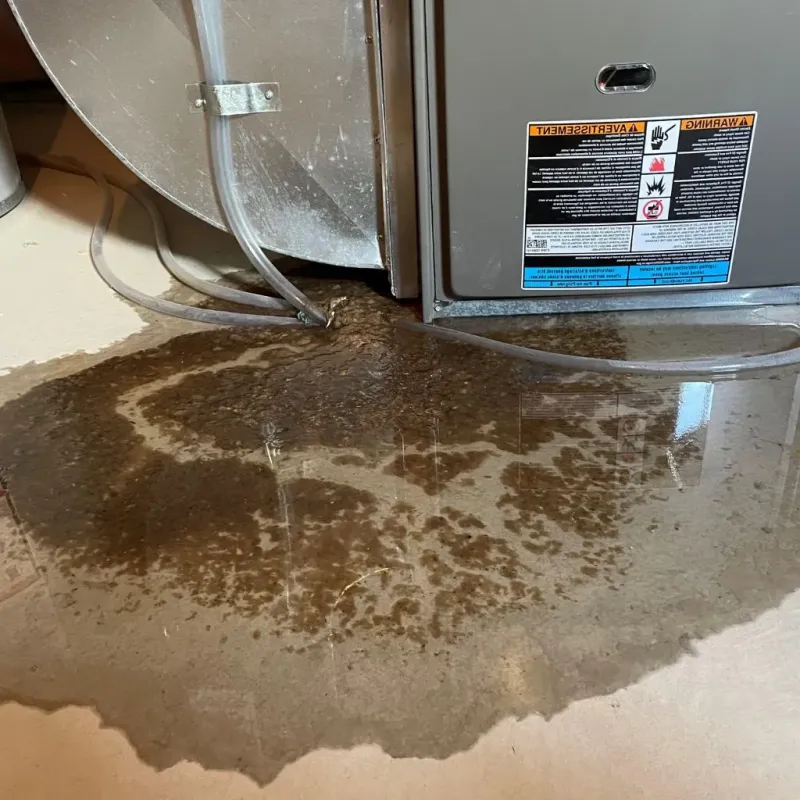 Pipe Burst and Leak Restoration in Louisville, KY